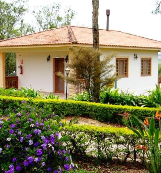 A imagem mostra uma charmosa construção do Hotel Fazenda Itáytyba no Paraná, cercada por belos jardins bem cuidados. A casa é de cor clara, com telhado de telhas vermelhas e janelas de madeira. O jardim na frente da casa é adornado com diversas plantas e flores coloridas, como arbustos floridos de tom roxo e flores exóticas laranja, além de cercas vivas bem podadas que delineiam os canteiros. Ao fundo, árvores altas completam a paisagem natural, dando ao ambiente uma sensação de tranquilidade e proximidade com a natureza. O cenário transmite uma atmosfera serena e acolhedora, ideal para relaxar em meio ao verde.