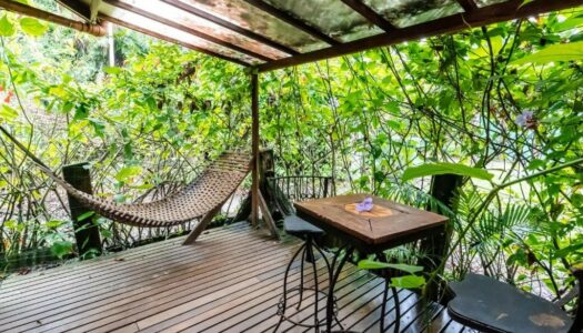 Pousadas Pet Friendly no Paraná: As 10 melhores estadias