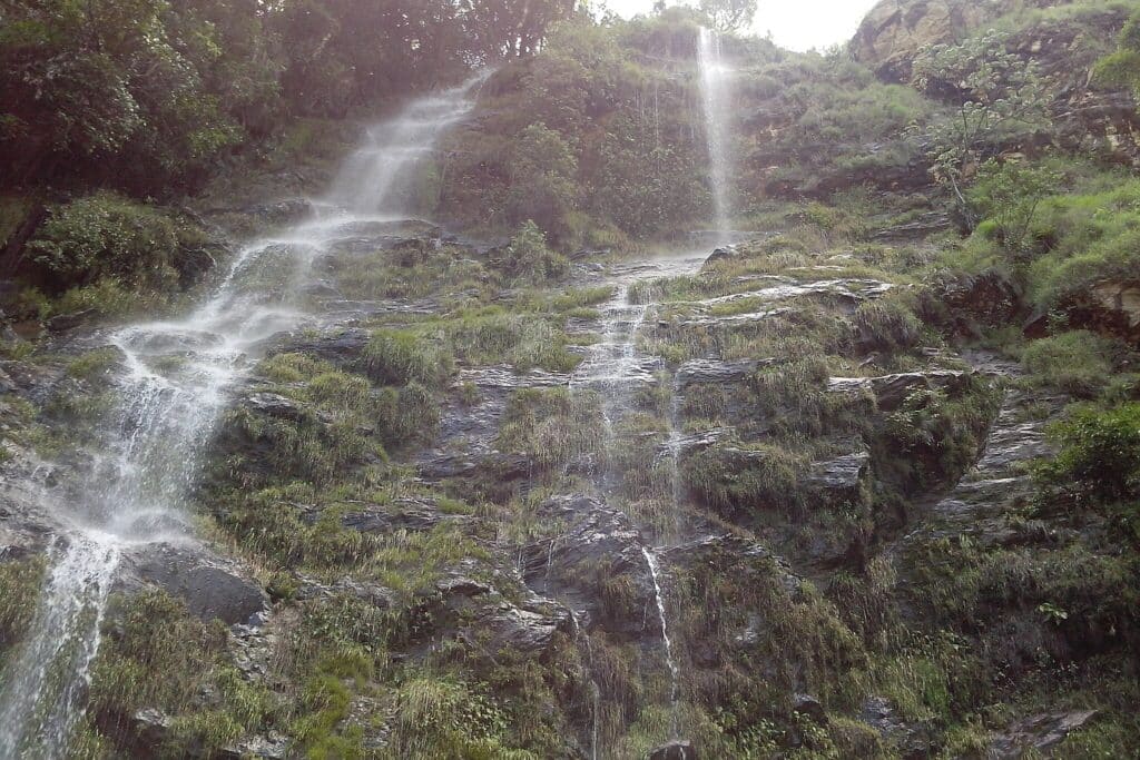 A imagem mostra a Cachoeira da Belinha, localizada em Piumhi, Minas Gerais. A cachoeira é composta por várias quedas d'água que descem por uma parede rochosa coberta de vegetação. A água escorre delicadamente por entre as rochas, criando finas cortinas d'água que se espalham pela superfície irregular. A vegetação é exuberante, com plantas crescendo nas fendas das rochas e nas áreas ao redor da queda d'água, dando um aspecto verde e natural ao cenário. No topo da imagem, é possível ver uma densidade maior de árvores e vegetação, sugerindo que a cachoeira está localizada em uma área de mata. A luz do sol brilha suavemente através das folhas, iluminando parte da cachoeira e criando um efeito cintilante na água corrente.