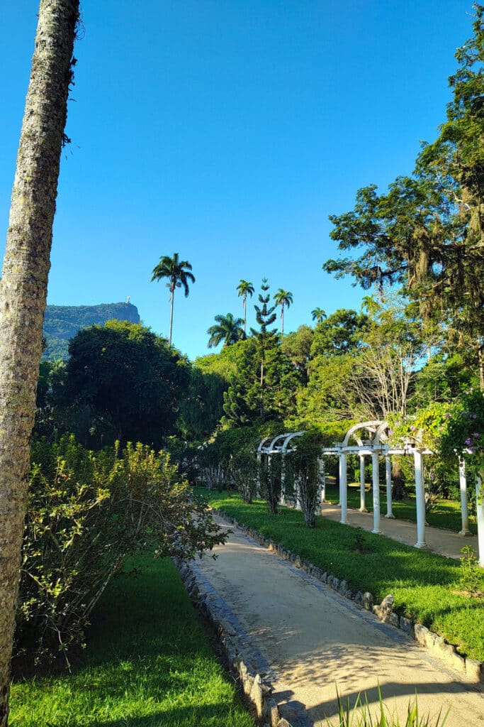 Uma trilha bem cuidada atravessa um jardim exuberante, ladeada por gramados verdes e arborizados. Ao fundo, uma estrutura de pérgola branca está coberta de folhagem, enquanto palmeiras altas se erguem contra o céu azul claro. Ao longe, um morro se destaca, parcialmente encoberto por árvores.