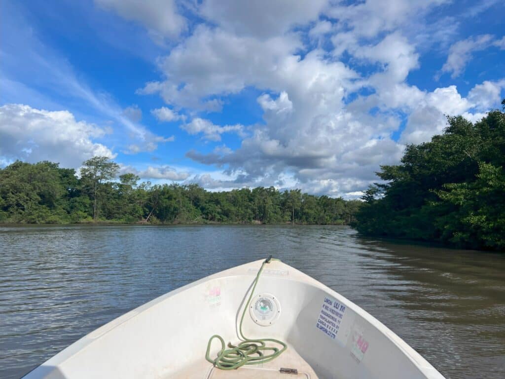 Imagem de um barco dentro do rio no centro durante o dia com o rio a frente e do lado direito mata. Representa o que fazer no Delta do Parnaíba.