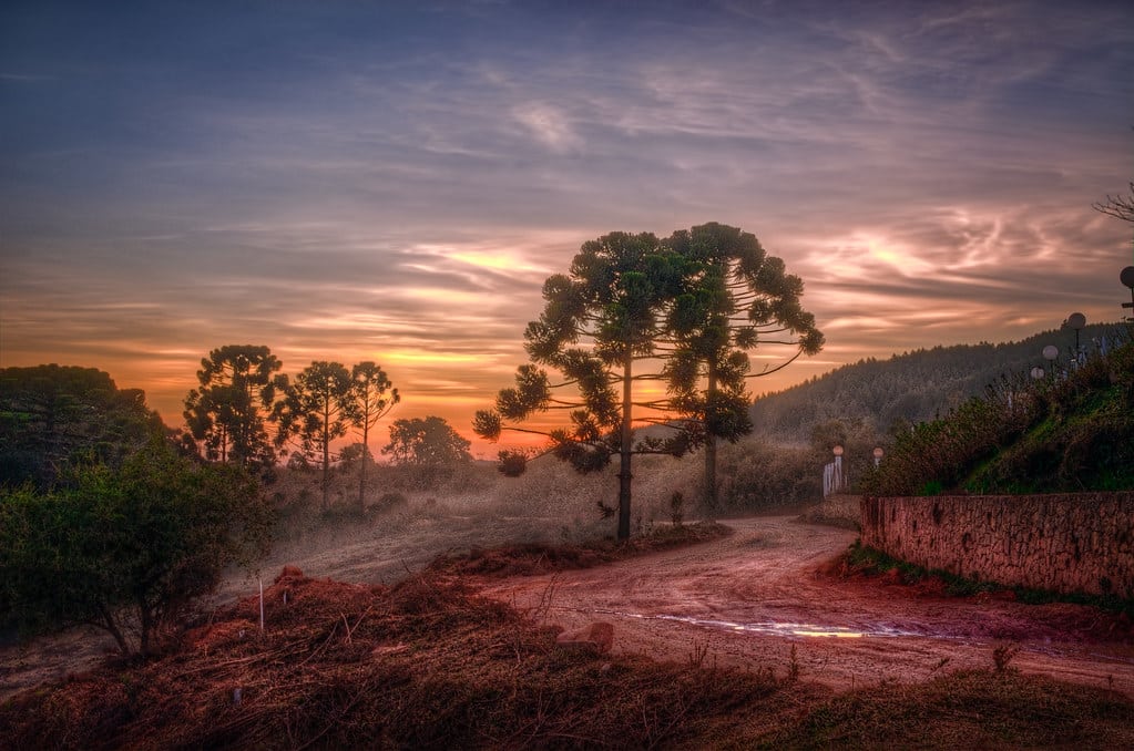 A imagem mostra uma paisagem ao entardecer em Monte Verde, Minas Gerais. Em primeiro plano, há uma estrada de terra que serpenteia pelo cenário, ladeada por uma vegetação esparsa. Árvores típicas da região, como araucárias, estão espalhadas pela imagem.