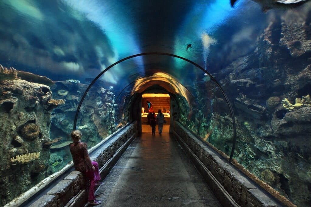 Uma parte do aquário dentro do hotel Mandalay Bay. Ele tem formato de túnel, como água, peixes, cascálhos e mais.