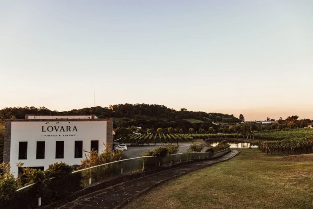 A imagem mostra a Vinícola Lovara, localizada no Vale dos Vinhedos, no Rio Grande do Sul. Em primeiro plano, está o edifício principal da vinícola, uma construção de aparência moderna e elegante com a fachada branca e janelas pretas. O nome "Lovara" está destacado na parede frontal do prédio, acompanhado das palavras "Vinhas & Vinhos".
Ao fundo, a imagem revela uma vasta área de vinhedos, com fileiras organizadas de videiras que se estendem por todo o terreno. A paisagem ao redor é composta por colinas suaves com vinhas exuberante, criando um cenário pitoresco e sereno.