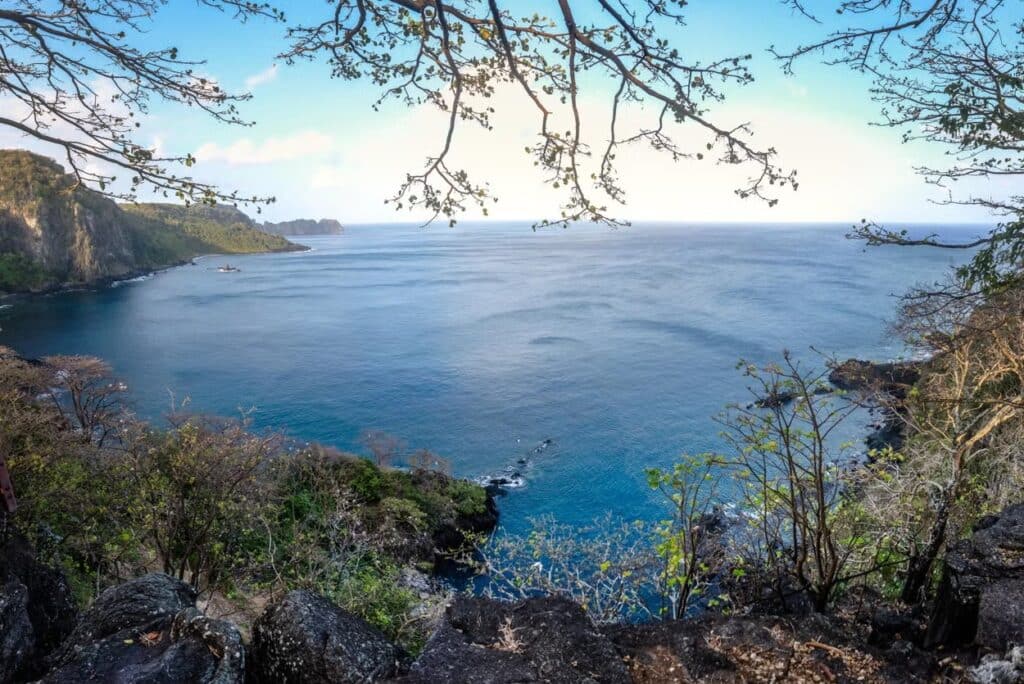 Vista de um mirante para a Baía dos Golfinhos. Há galhos e pedras em volta do mirante, e a vista é para um mar azul. O céu está claro e com algumas nuvens.