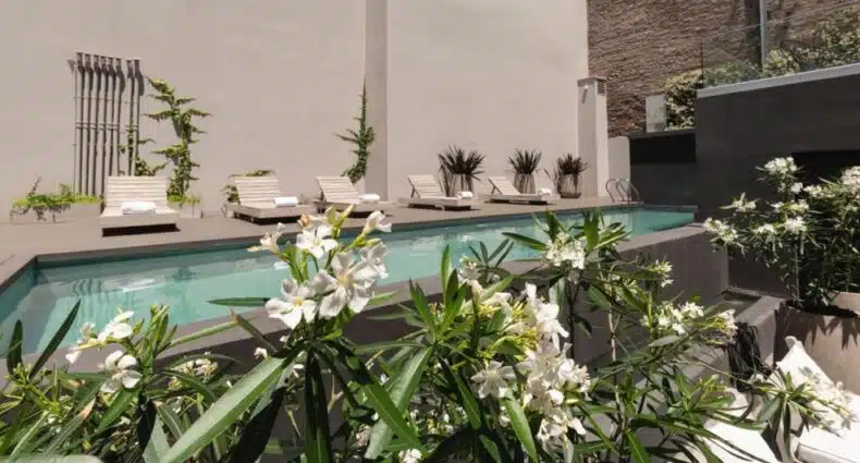Uma pequena piscina ao ar livre com espreguiçadeiras e plantas com flores brancas, em meio a paredes de cores claras e vegetação, no Krista Boutique Hotel, para representar hotéis boutique em Buenos Aires.