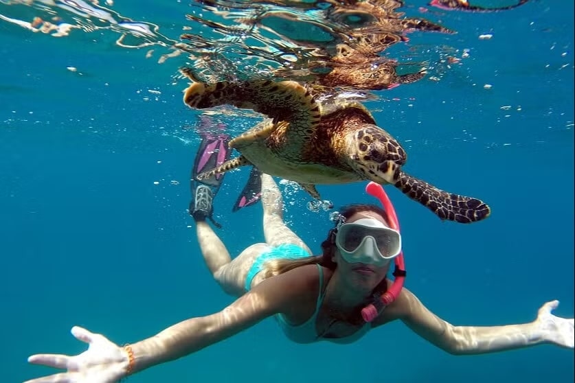 Mulher com máscara de snorkel mergulhando com uma tartaruga na Praia do Sancho, em Fernando de Noronha.