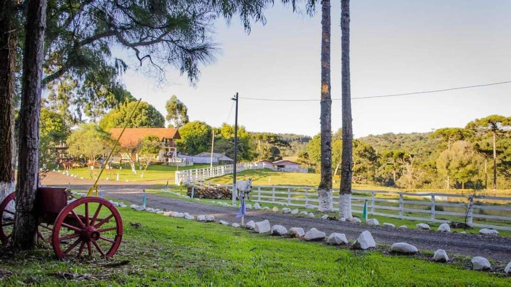A imagem mostra a área externa do GoldMen Hotel Fazenda Guarapuava, com uma ampla vista de um campo verde. No primeiro plano, há uma carroça rústica vermelha encostada em uma árvore, dando um toque campestre à paisagem. Ao fundo, é possível ver o edifício principal da fazenda, uma construção em estilo rural com telhado de telhas vermelhas, cercada por árvores e jardins. O caminho de acesso à casa é delineado por pedras brancas e cercas de madeira pintadas de branco.