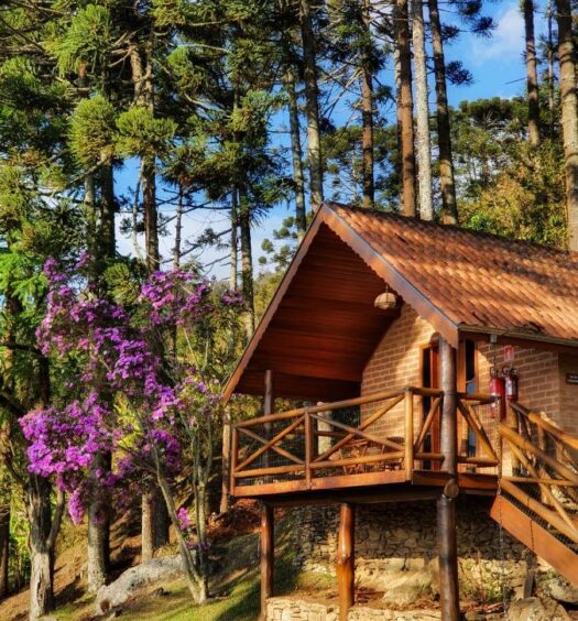 Uma cabana de madeira com telhado inclinado é cercada por árvores altas e plantas com flores roxas em um dia ensolarado.