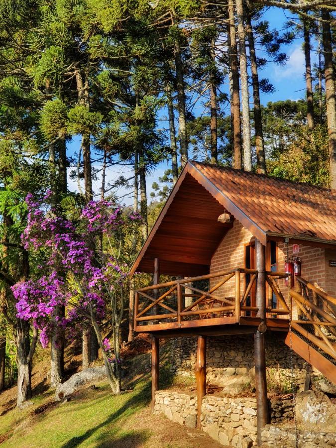 A imagem mostra uma cabana de madeira elevada em um terreno inclinado, cercada por árvores altas e vegetação densa. A cabana tem um telhado inclinado com varanda de madeira, apoiada em pilares rústicos sobre uma base de pedras. Ao lado da cabana, há uma árvore com flores roxas vibrantes, criando um contraste bonito com as árvores verdes ao fundo. O céu está azul e o ambiente parece calmo e acolhedor, situado em meio à natureza. Os Chalés Araucária e Manacá fazem parte da lista de chalés para casal no interior de São Paulo.
