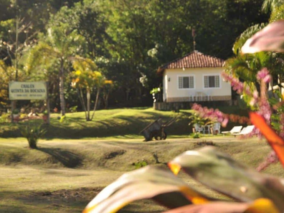 A imagem mostra uma casa pequena e simples, com paredes brancas e telhado de telhas vermelhas, situada em um terreno verdejante cercado por árvores e vegetação tropical. Em frente à casa, há uma área com cadeiras brancas de jardim e um carrinho de mão de madeira. O gramado ao redor é amplo e bem cuidado. À esquerda, há uma placa que indica o nome do local, "Chalés Quinta da Bocaina". O cenário é de campo, com muitas plantas e sombras suaves, transmitindo tranquilidade e um ambiente rural.