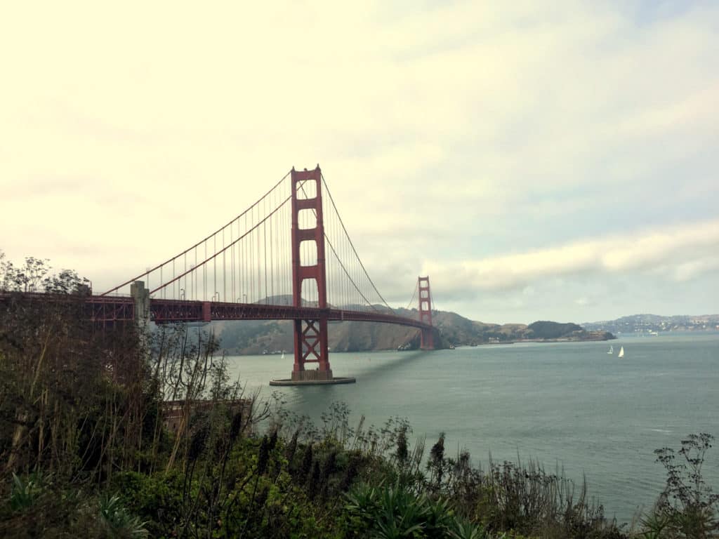 A Ponte Golden Gate se estende sobre uma baía calma, vista de uma encosta próxima, no Visitor Center, com plantas em primeiro plano.