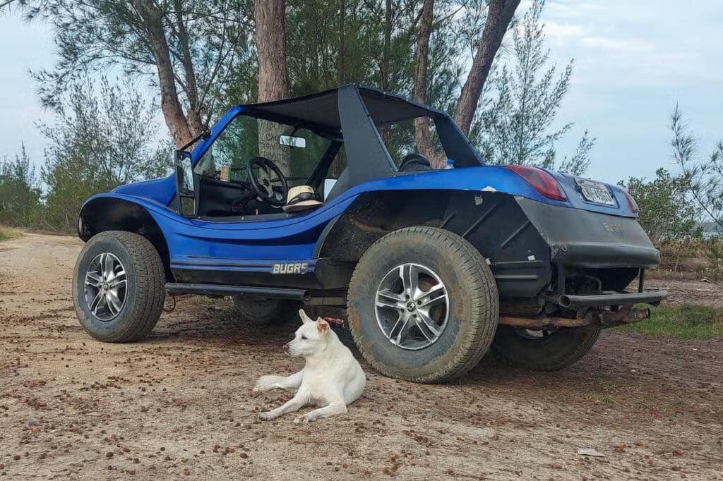 Um buggy azul está estacionado em um caminho de terra. Um cachorro branco está deitado no chão perto do veículo. Árvores estão ao fundo. É uma ótima opção de o que fazer em Arraial do Cabo.