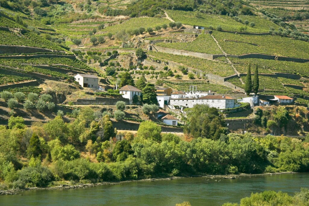Imagem do Vale do Douro com vinhedos nas encostas com terraços de pedra, edifícios espalhados e vegetação exuberante com vista para um rio em uma paisagem cênica.