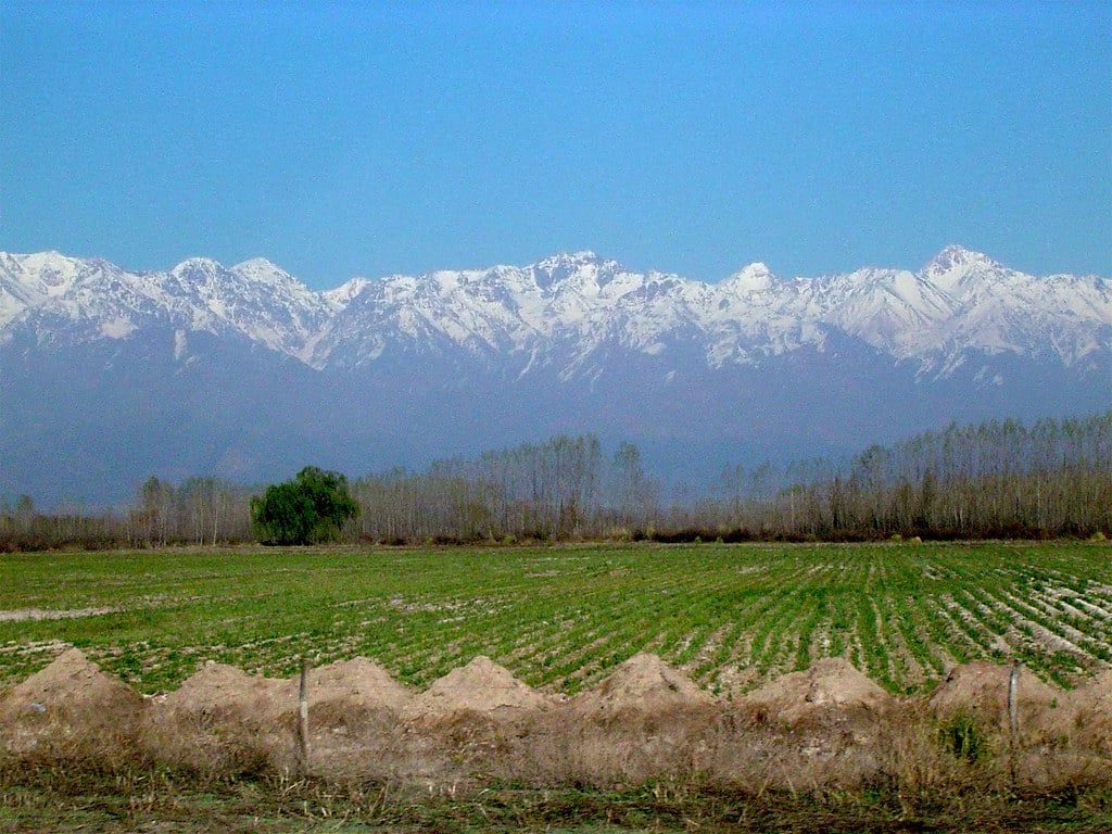 Um campo verde em Maipú com pequenos montes de terra em primeiro plano e montanhas cobertas de neve sob um céu azul claro ao fundo. Foto para ilustrar post sobre o que fazer em Mendoza.