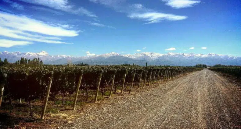 Uma estrada de cascalho corre ao lado do vinhedo de El Enemigo com montanhas ao fundo e um céu parcialmente nublado. Imagem para ilustrar post sobre o que fazer em Mendoza.