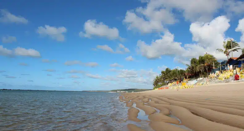 Praia de areia com ondas suaves, palmeiras e cadeiras amarelas sob um céu azul brilhante com nuvens dispersas.