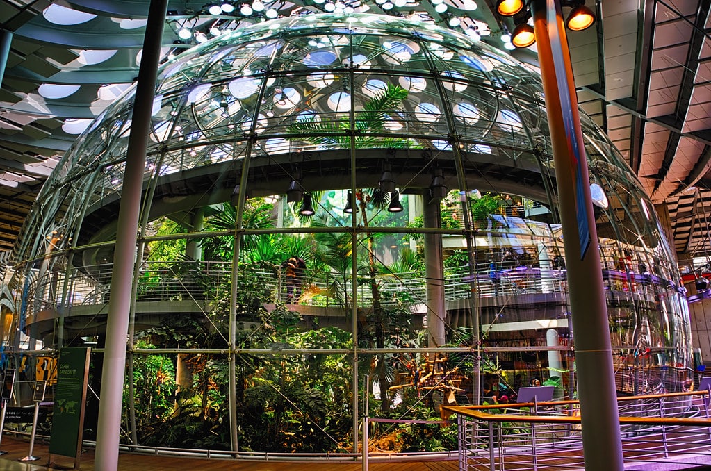 Grande cúpula de estufa de vidro com plantas tropicais visíveis e estruturas metálicas dentro, sob um telhado com aberturas circulares Califórnia Academy of Science. Imagem para ilustrar post sobre museus em San Francisco.