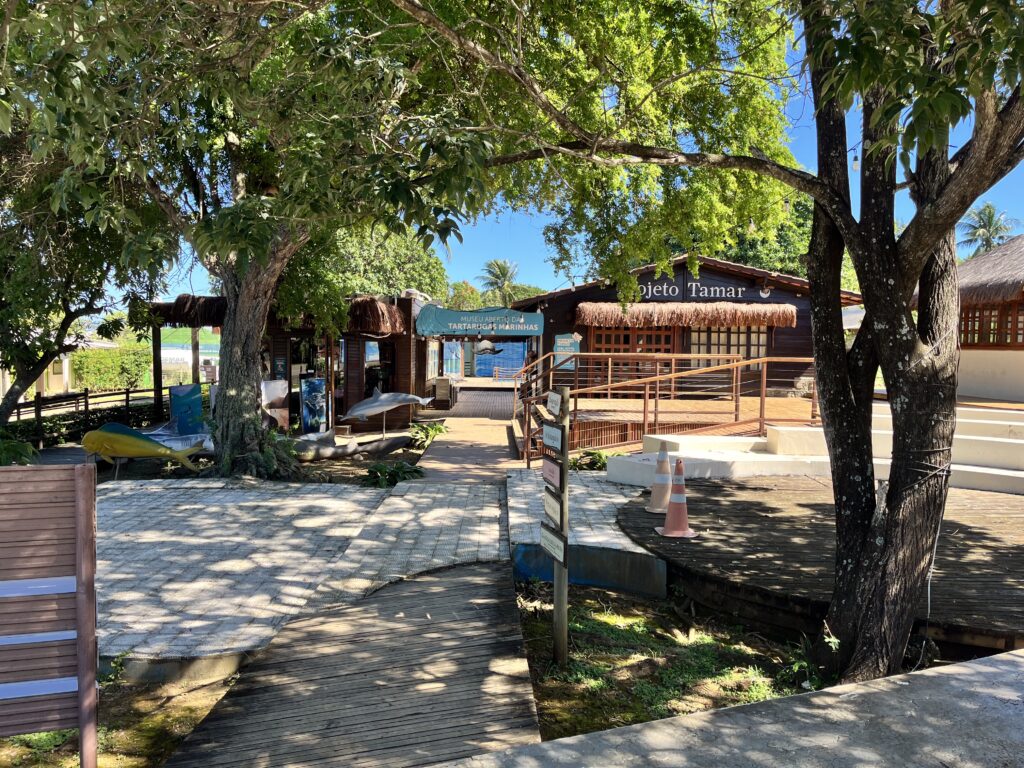 Um caminho sombreado leva a construções de madeira identificadas como "Projeto Tamar", com árvores e um vislumbre de água ao fundo.