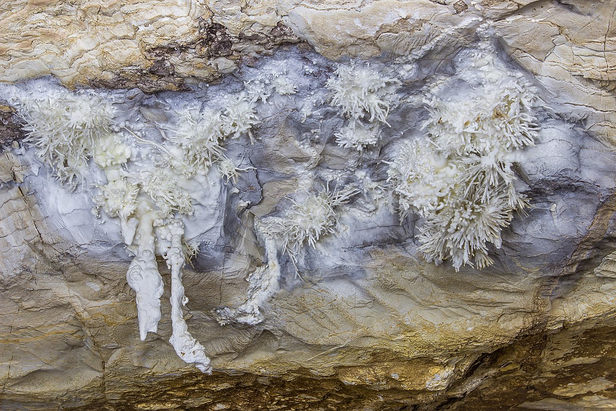 Formações de aragonita branca que lembram delicados cristais e espinhos em uma superfície rochosa áspera e bege na Gruta da Torrinha. A foto ilustra o post de o que fazer na Chapada Diamantina.