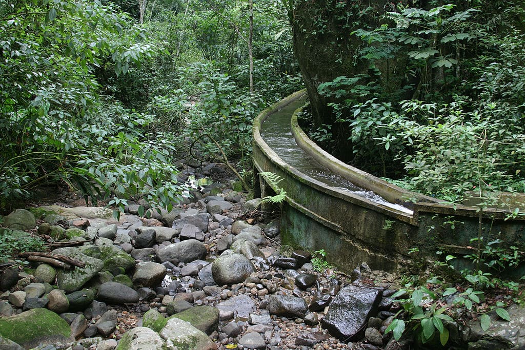 Um canal de água curvo de concreto atravessa uma floresta exuberante com pedras e plantas espalhadas pelo chão.