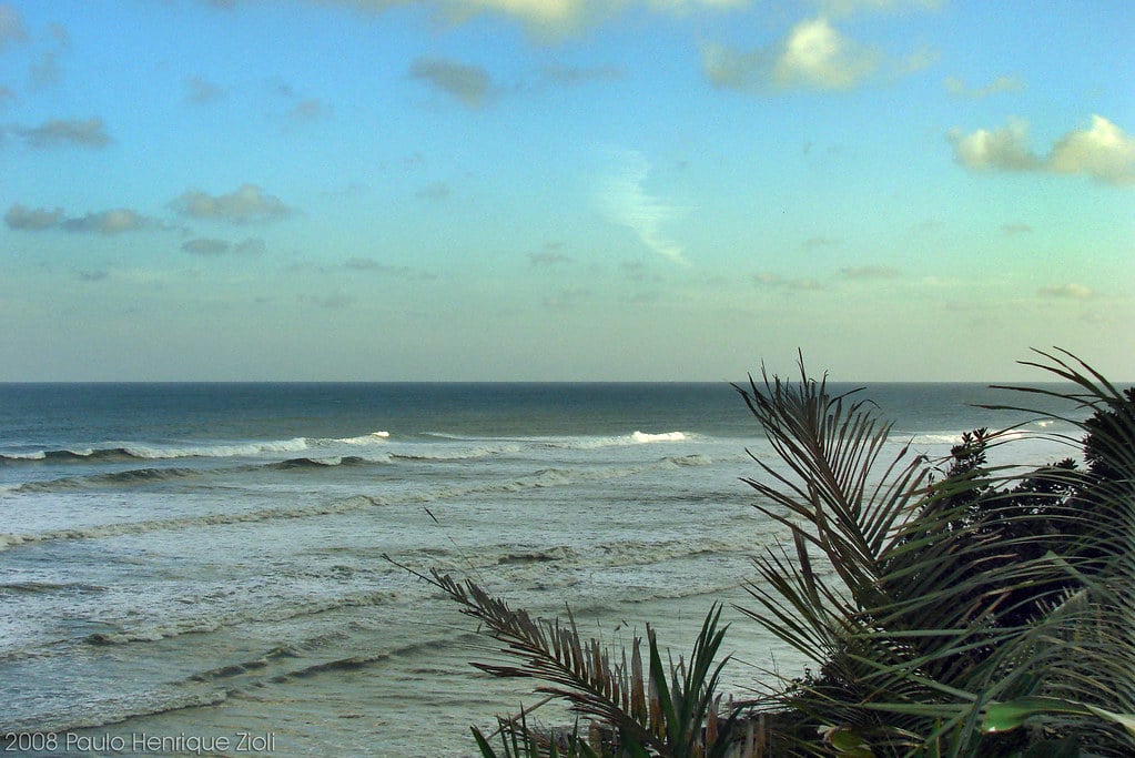 Vista de uma praia com ondas se aproximando da costa sob um céu parcialmente nublado. Folhas de palmeira são visíveis no primeiro plano. Essa é a Praia da Juréia, acessada por uma das trilhas em SP.