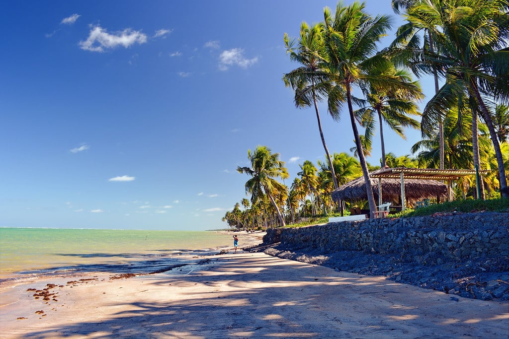 Uma cena de praia tropical com palmeiras, uma cabana de palha e duas pessoas caminhando ao longo de uma praia arenosa sob um céu azul claro.