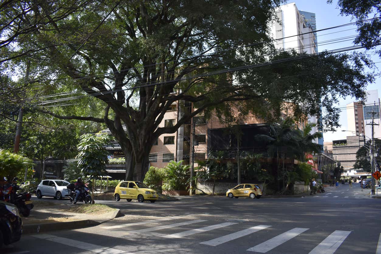 Ruas de Laureles com táxis amarelos, motocicletas, grandes árvores e edifícios ao fundo sob um céu limpo. Imagem para ilustrar post sobre roteiro em Medellín.