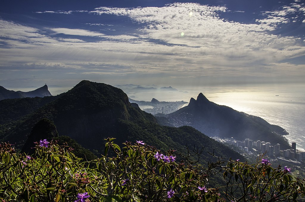 Vista panorâmica da paisagem montanhosa e do litoral no Rio de Janeiro, Brasil, com vegetação exuberante e flores roxas em primeiro plano. Essa é a paisagem de uma das trilhas no Rio de Janeiro.
