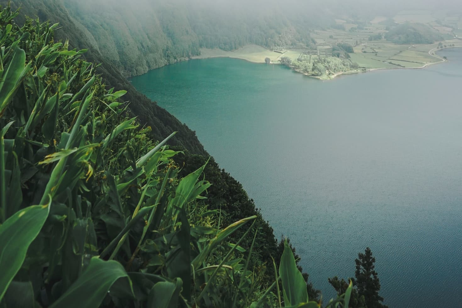 Plantas verdes com vista para um lago azul cercado por colinas e um céu enevoado ao fundo na Ilha de São Miguel em Açores