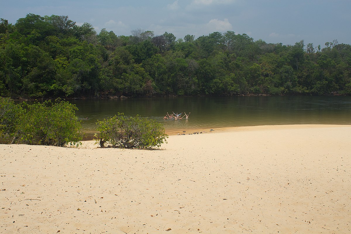 Uma praia de areia leva a um rio calmo cercado por uma densa floresta; um grupo de pessoas é visível à distância na água.