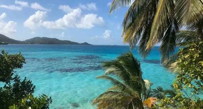 Oceano tropical azul claro com corais visíveis, palmeiras em primeiro plano e colinas ao fundo sob um céu ensolarado. A imagem ilustra o post sobre eSIM San Andres.
