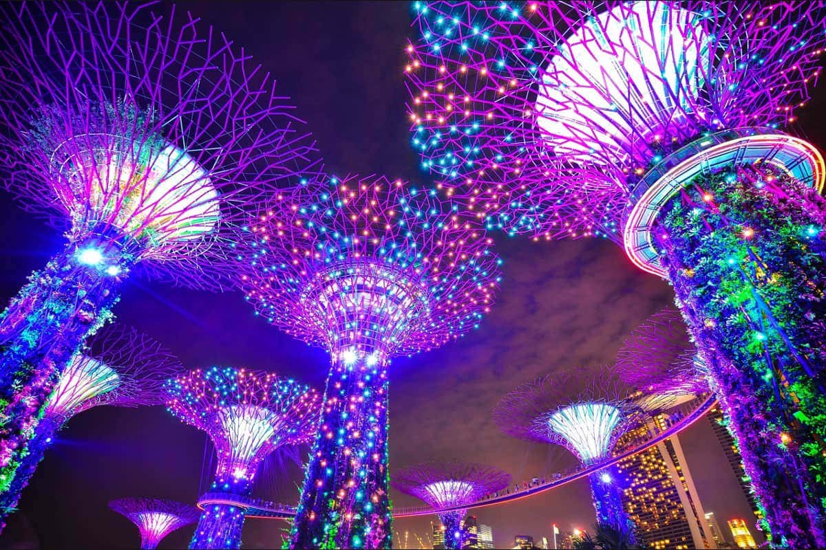 Estruturas coloridas de Supertree iluminadas à noite, com luzes vibrantes em roxo, rosa e azul contra um fundo de céu nublado. Representa o que fazer em Singapura.