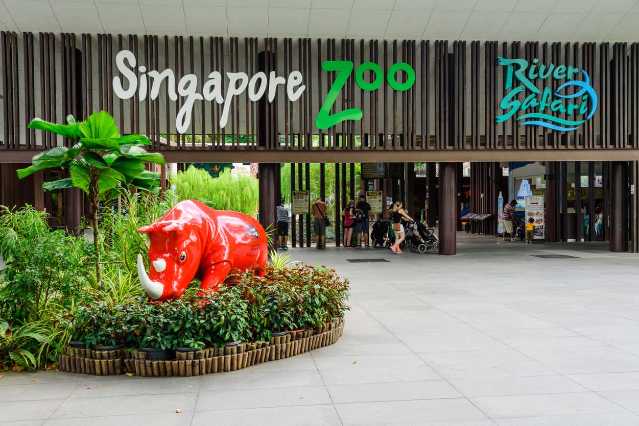 Entrada do Zoológico de Singapura e do River Safari com uma escultura de rinoceronte vermelho e pessoas entrando nas instalações. Ilustra o que fazer em Singapura.