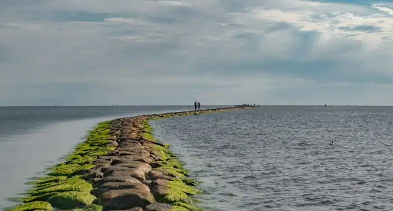 Um caminho de pedra coberto de musgo verde se estende em direção ao oceano, com duas pessoas caminhando à distância sob um céu nublado em Condado de Pärnu que pode ser visitado com o eSIM Estônia.
