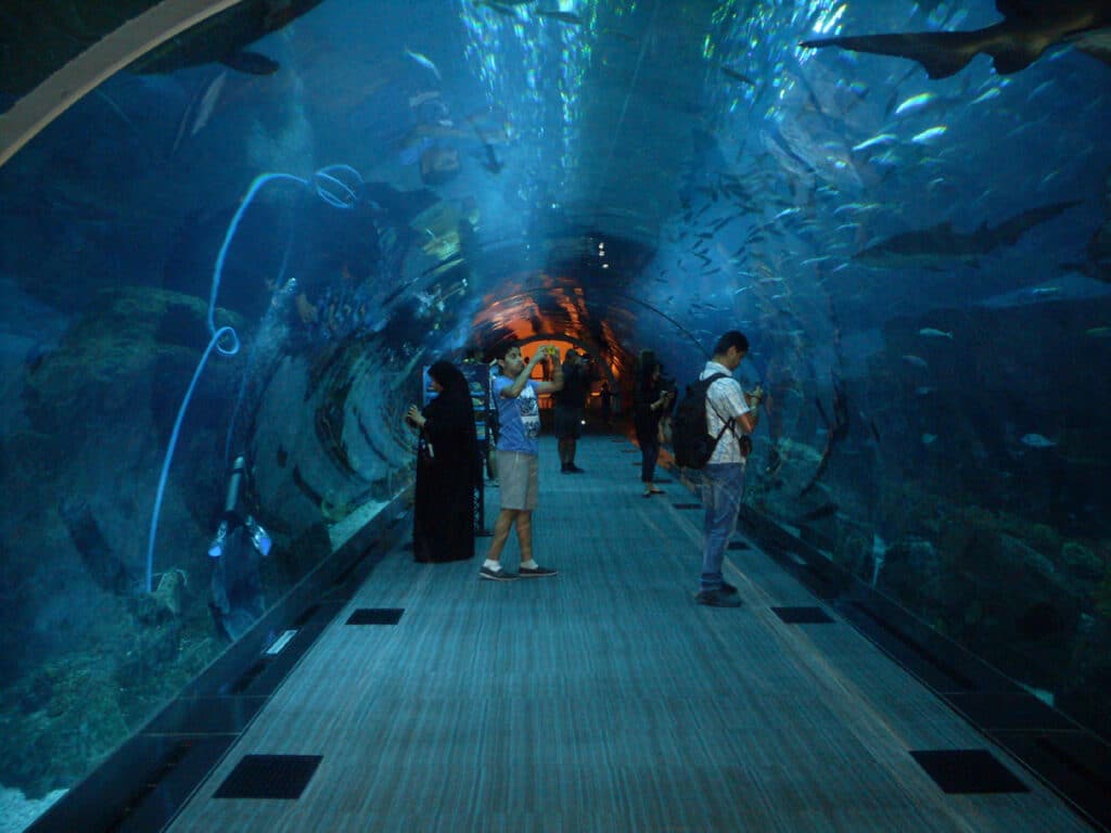 Pessoas caminham por um túnel subaquático no Dubai Aquarium, cercadas por peixes e animais marinhos nadando acima e ao lado delas. Imagem para ilustrar post sobre eSIM Dubai.