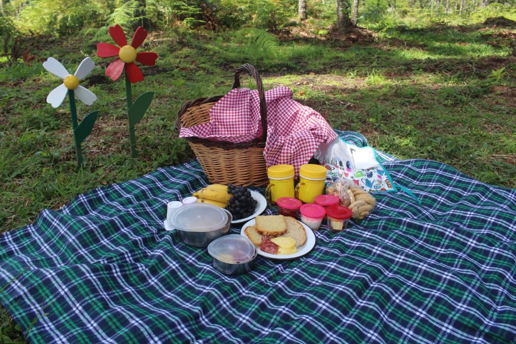 Um piquenique montado em um cobertor xadrez com alimentos, bebidas, uma cesta e duas flores decorativas em uma área externa gramada, na propriedade da Pousada dos Cataventos.
