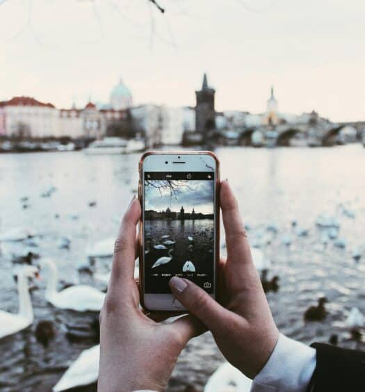 Uma pessoa segura um telefone para tirar uma foto de cisnes nadando em um rio com edifícios históricos e uma ponte ao fundo. Ilustra o eSIM Praga.