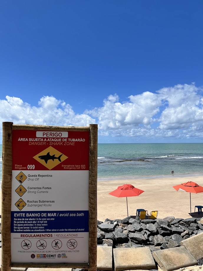 Placa de aviso sobre ataques de tubarão na praia de boa viagem em recife, com guarda-sóis vermelhos, rochas e o oceano sob um céu azul.