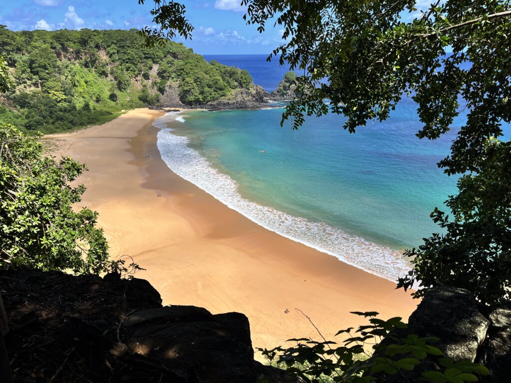 Vista de uma praia de areia isolada com águas azuis cristalinas, cercada por penhascos verdes e emoldurada por galhos de árvores.
