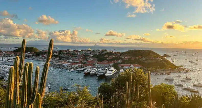 Vista da ilha de St. Barth com barcos atracados em um porto, cactos em primeiro plano e nuvens ao pôr do sol no céu. A foto ilustra o post de eSIM St. Barth.