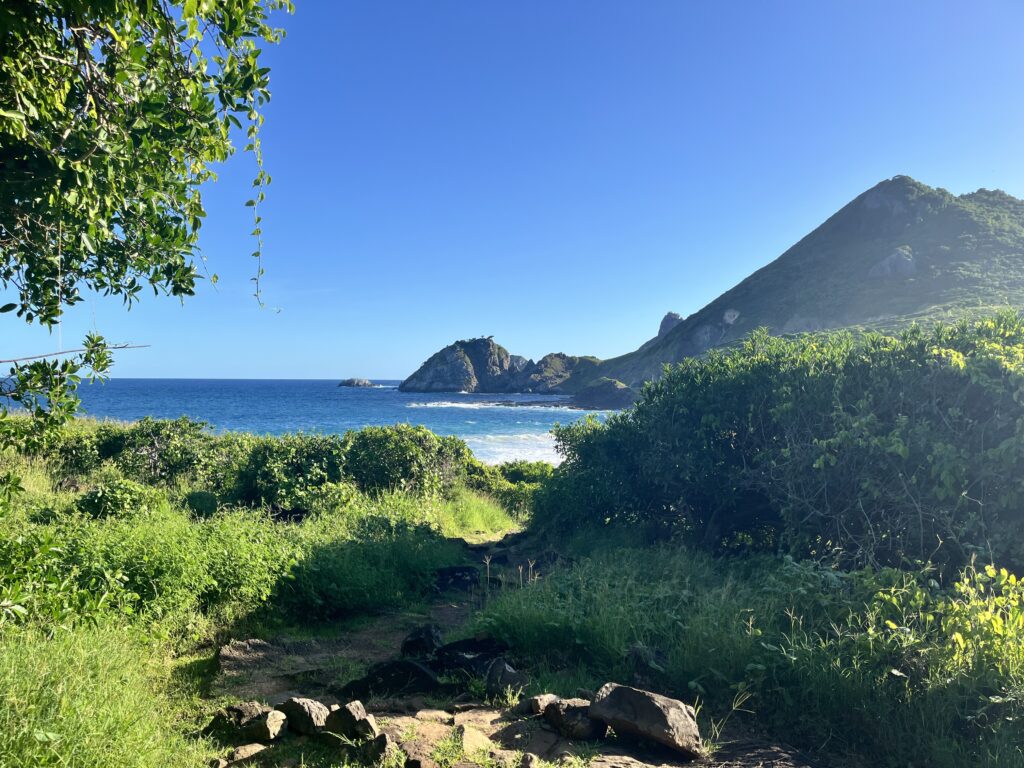 Um caminho de terra leva através de arbustos verdes até o oceano, com colinas e um céu azul claro ao fundo.