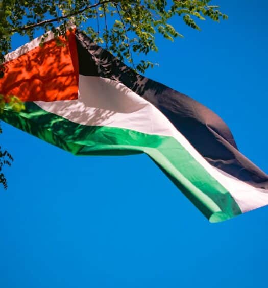 Uma bandeira palestina com cores vermelha, branca, verde e preta tremula contra um céu azul claro perto de galhos de árvores, para representar o post de eSIM Palestina.