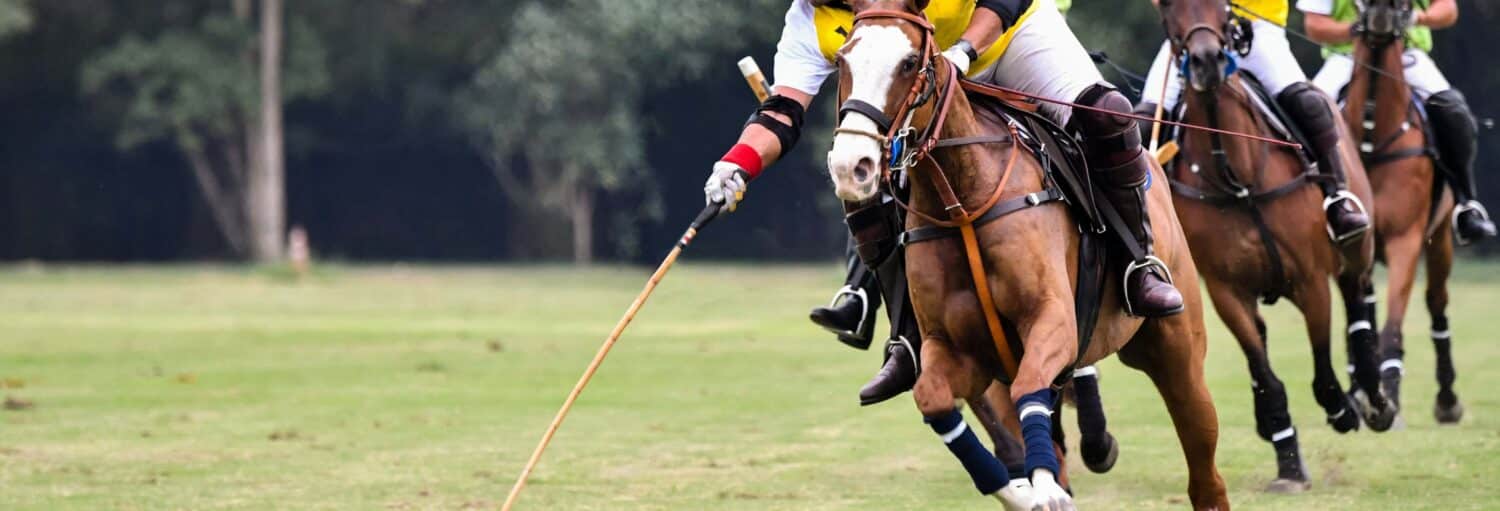 Três jogadores de polo com camisas amarelas montados em cavalos e balançando marretas durante uma partida em um campo gramado. Imagem para ilustrar post sobre Partida de polo em Buenos Aires com guia local.