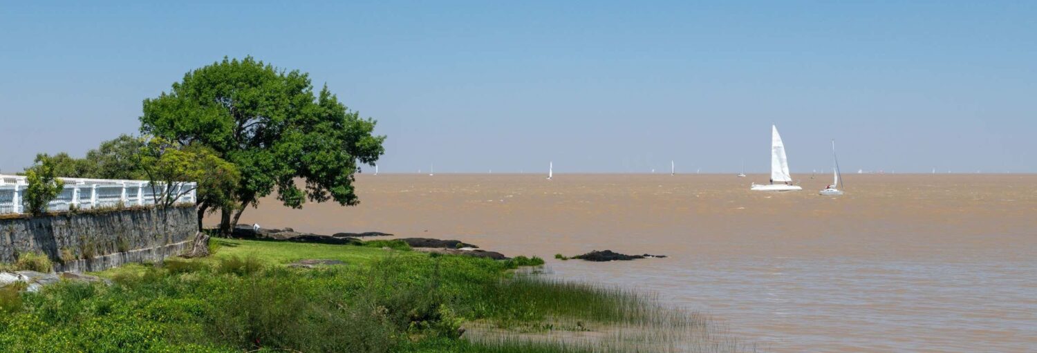 Uma árvore e a grama perto de um muro de pedra têm vista para um rio marrom com veleiros sob um céu azul claro. Imagem para ilustrar post sobre excursão de 2 dias de veleiro pela costa do Uruguai.