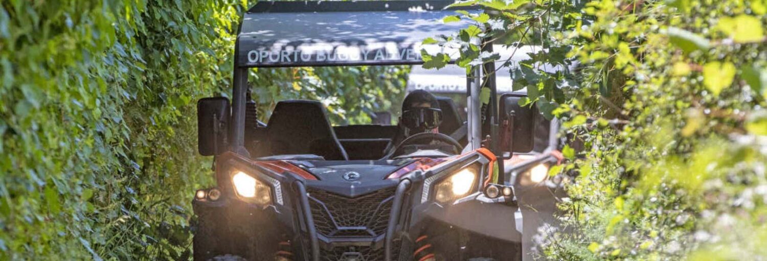 Um veículo utilitário off-road passa por um caminho estreito e verdejante, cercado por vegetação densa. A foto é capa do post Tour de buggy pelos arredores do Porto.