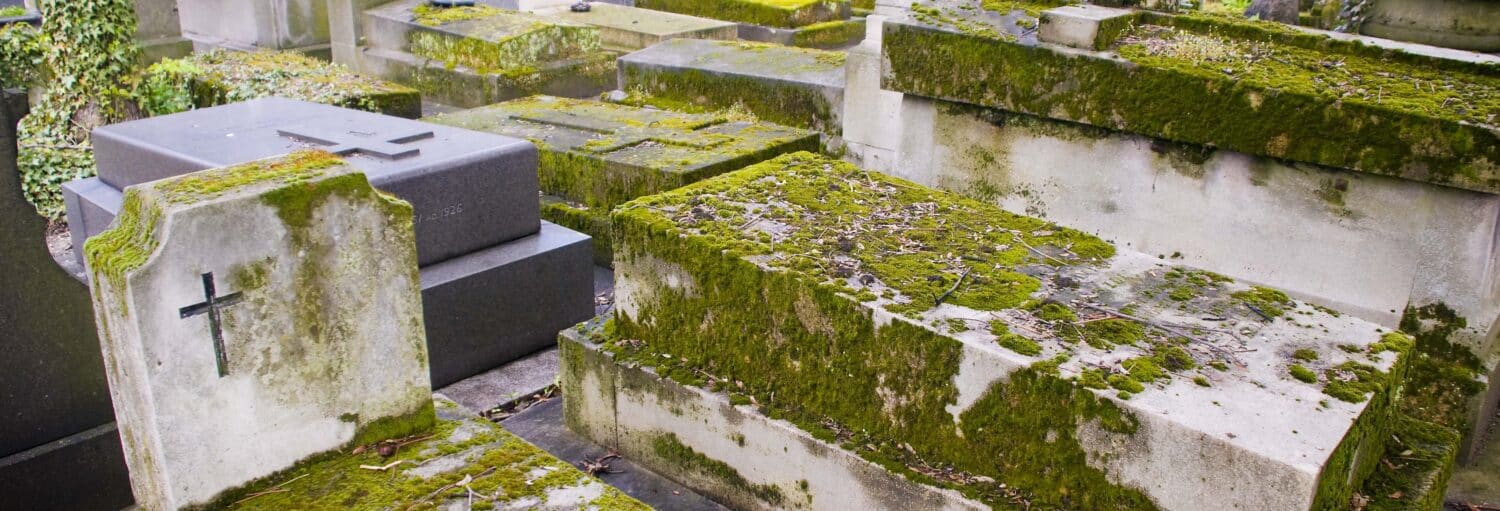 Túmulos cobertos por musgo no tour pelo cemitério Père Lachaise