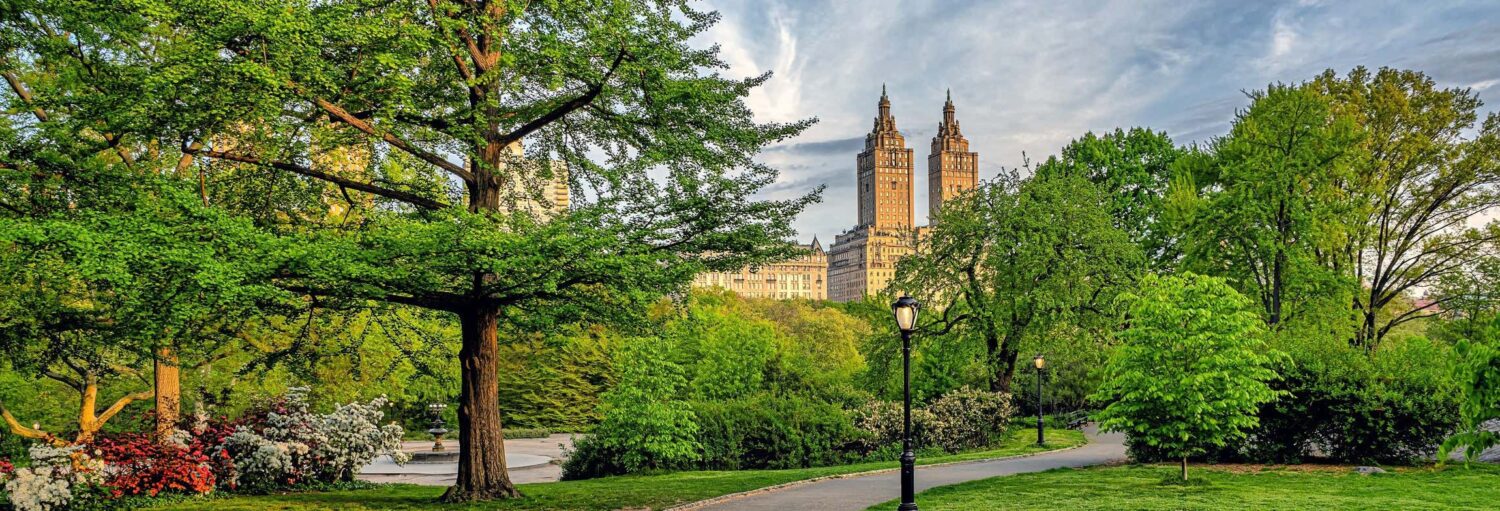 Central Park com árvores e um poste de luz. A foto é capa do post do Free tour pelo Central Park.