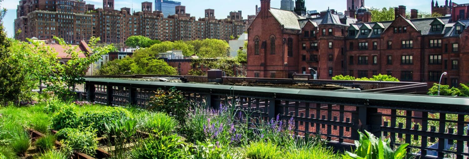 Tour pelo High Line