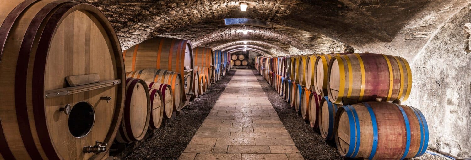 Três pessoas em uma sala bebem vinho tinto em taças; o foco está em uma mulher loira em primeiro plano no Tour de vinhos por Roma